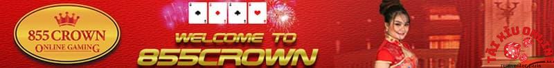 Giới thiệu khái quát về cổng game 855Crown