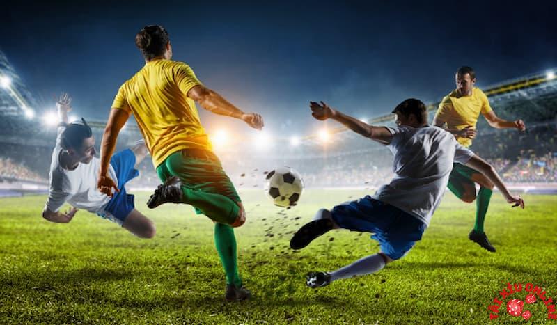 Giới thiệu về Rakhoi TV