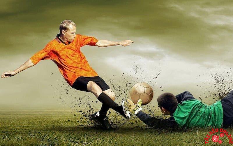 Lý do để bạn chọn website Vaobong