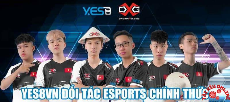 Nhà cái Yes8 cung cấp dịch vụ chất lượng tại Đông Nam Á